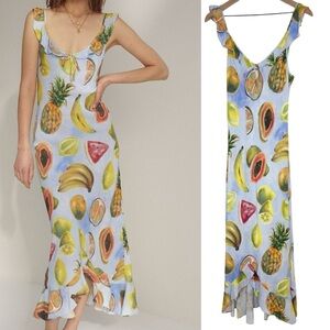 Aritzia Wilfred Donna Fruit Dress size Small